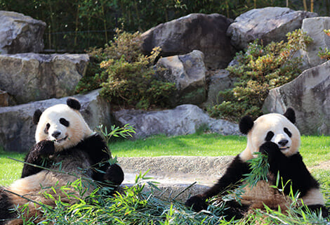 動物園