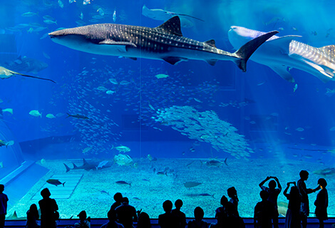 水族館