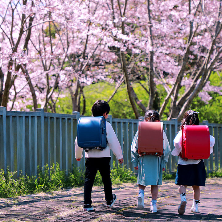 池田屋ランドセルと桜並木を歩く子どもたち