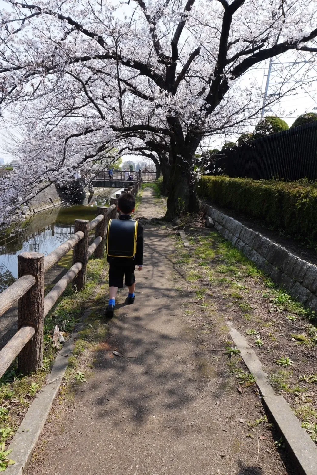 一目惚れした黒×黄色の絶妙なバランス