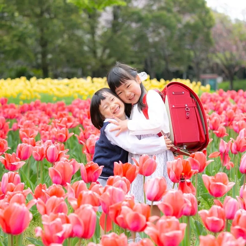 みんなの声と写真の投稿