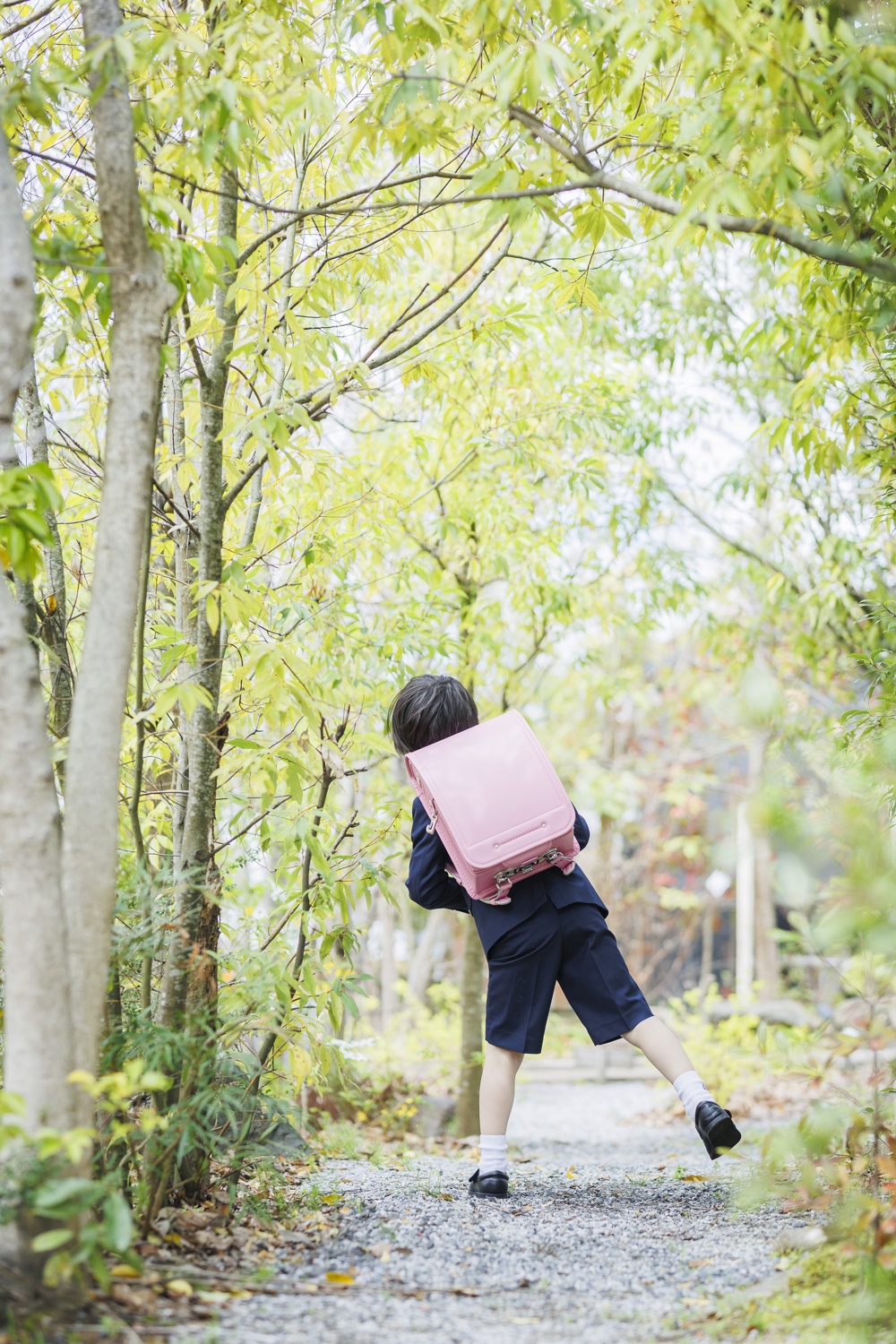 みんなの声と写真