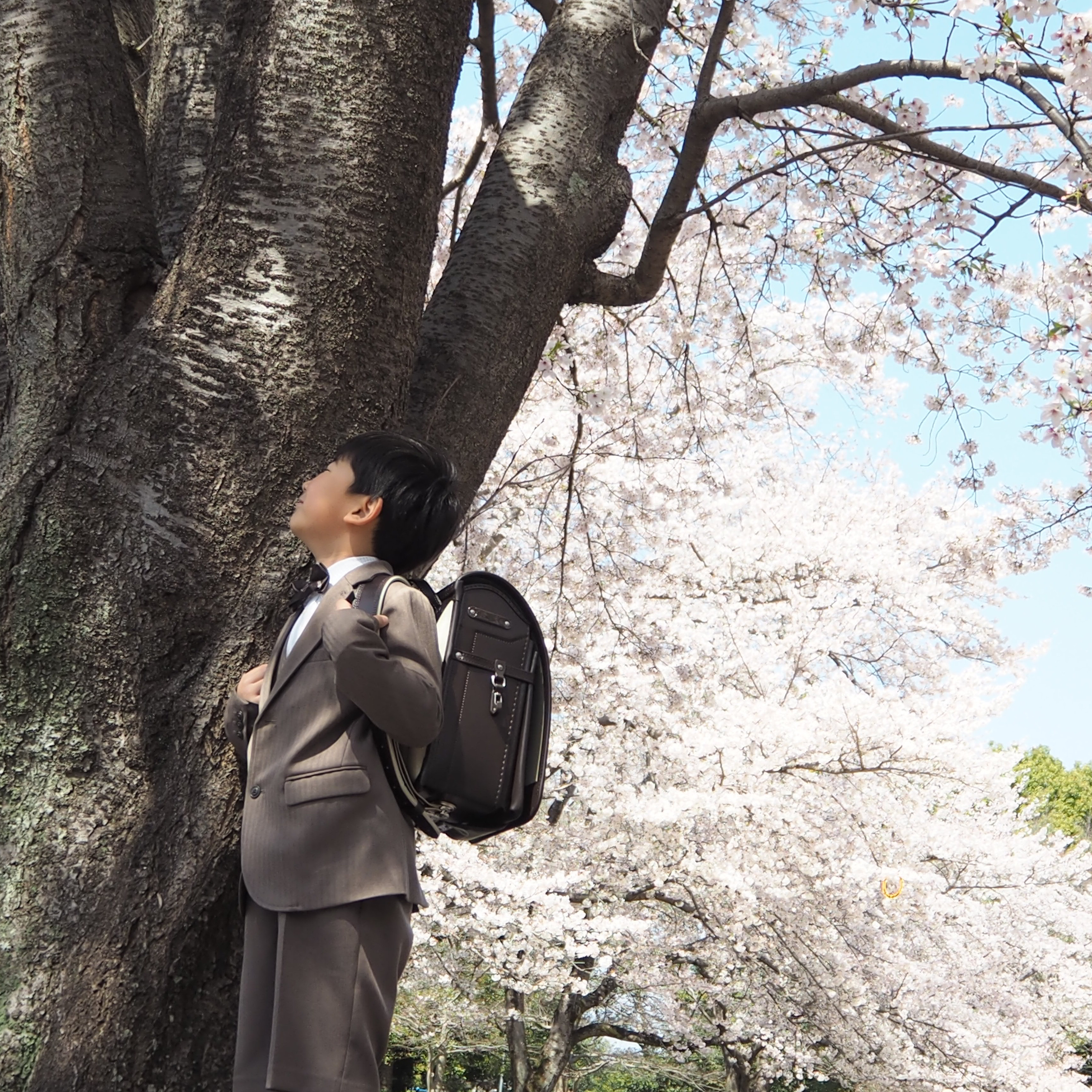 みんなの声と写真