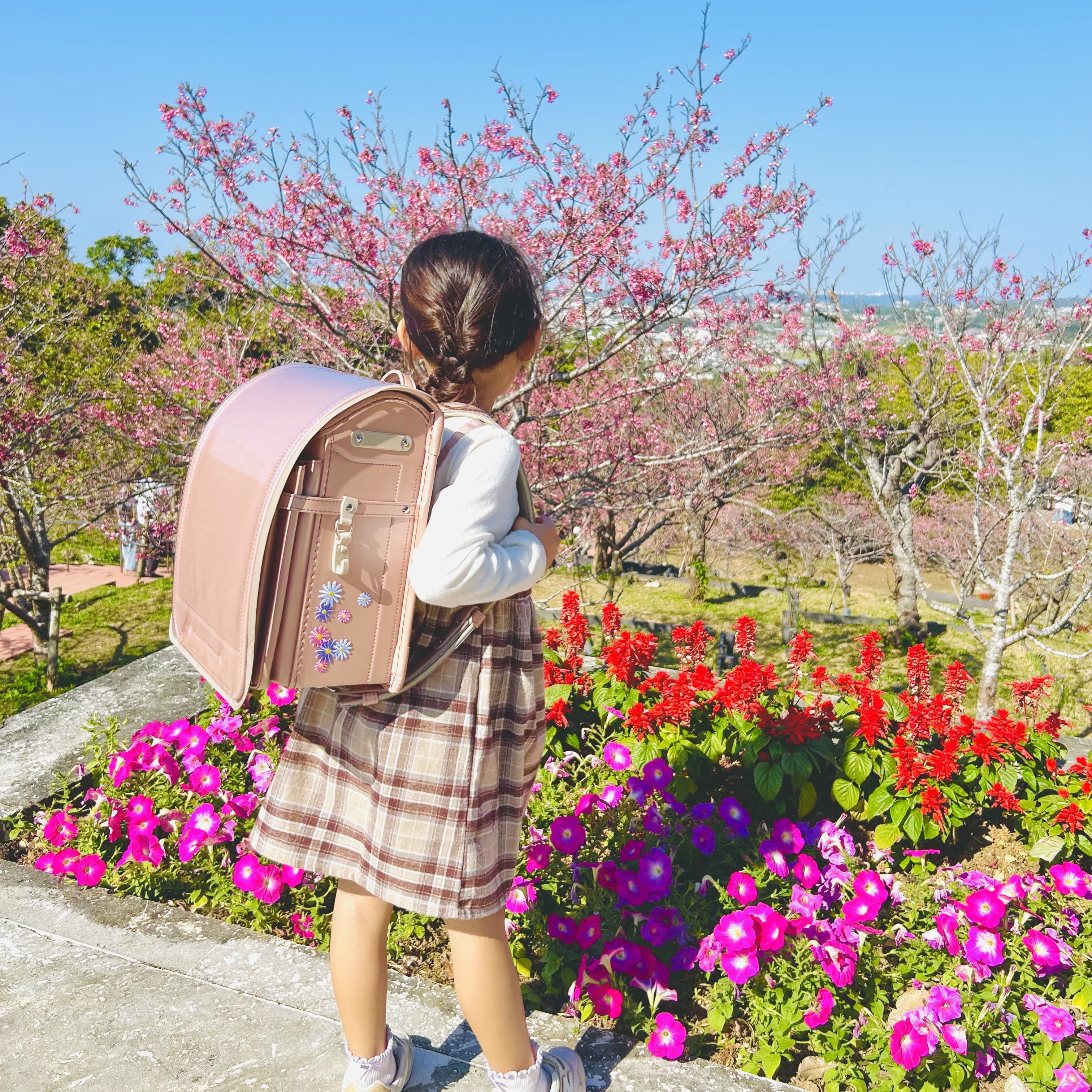 みんなの声と写真