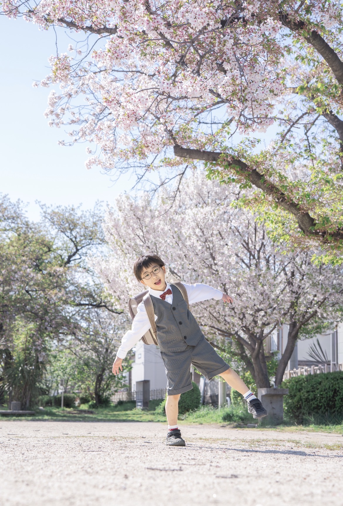 みんなの声と写真