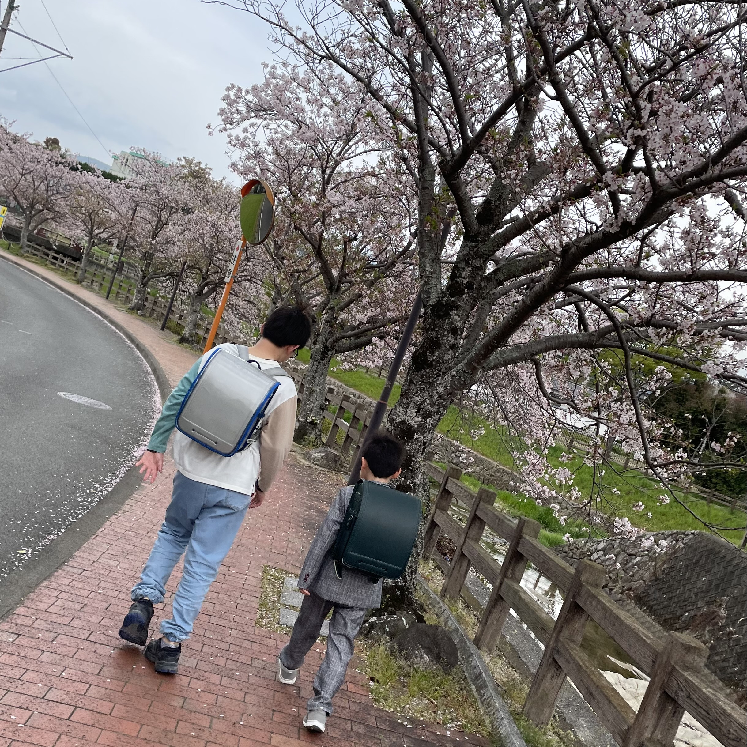 福岡県 るるー