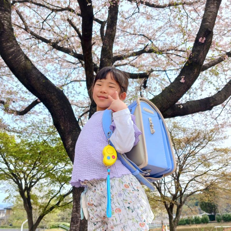 みんなの声と写真