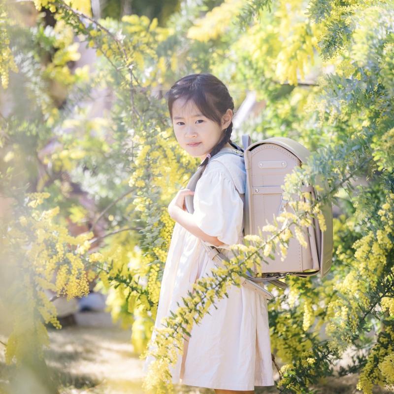 みんなの声と写真